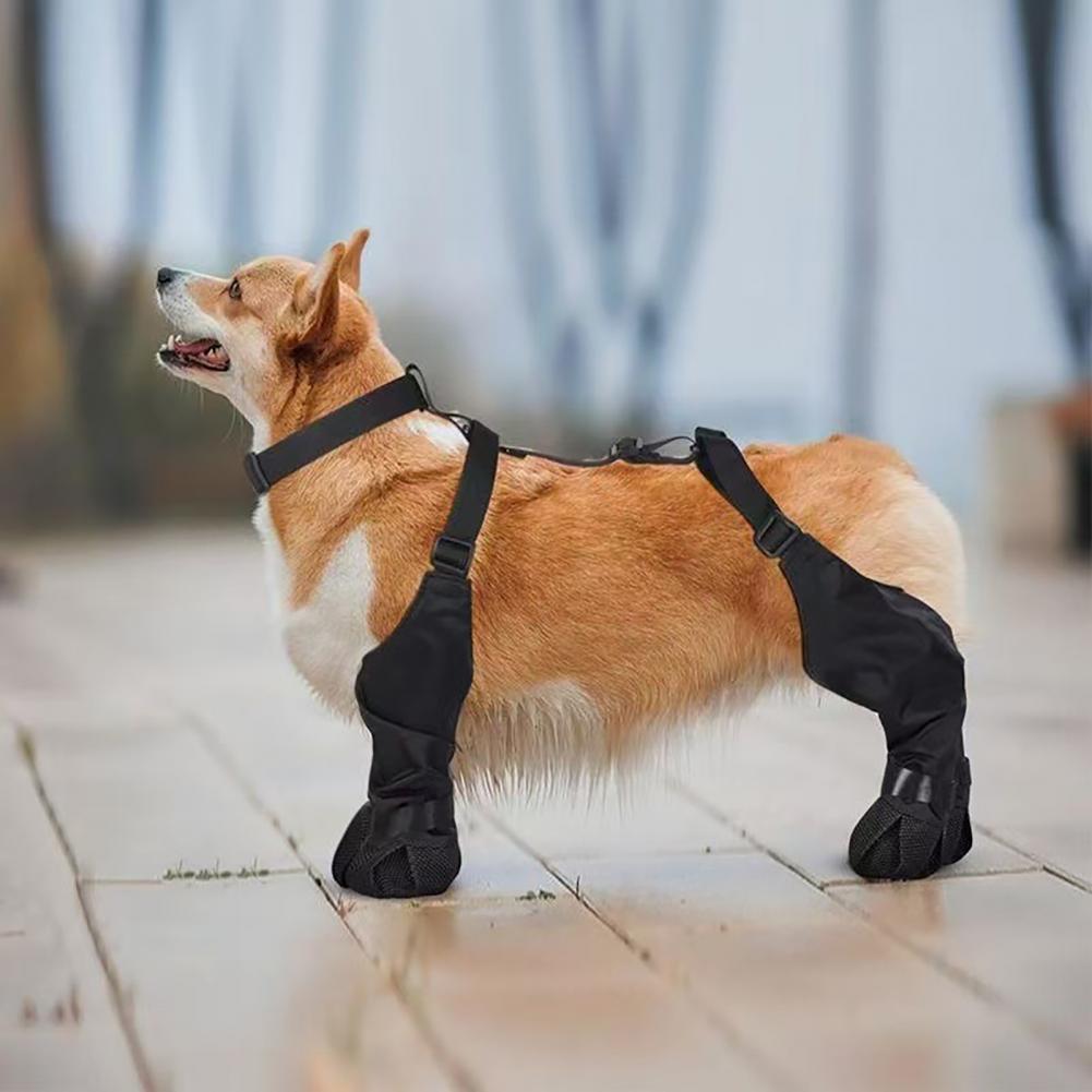 Dog Rain Boots Suspender Water - Dog Booties Paw Protector 리뷰 및 가격